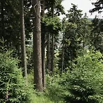 Fichtelberger Blick