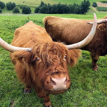 Apartment Fichtelberger Blick