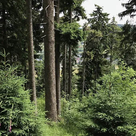 Fichtelberger Blick