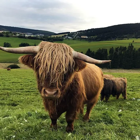 Fichtelberger Blick Apartment Oberwiesenthal