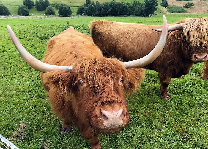 Апартаменты Fichtelberger Blick