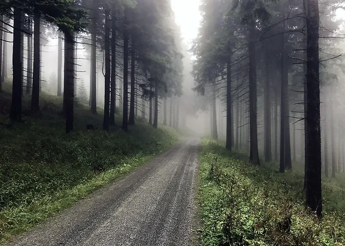 Fichtelberger Blick *