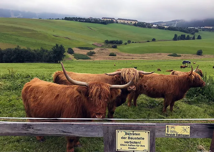 Fichtelberger Blick Апартаменты *